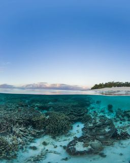 Vue sous-marine de la Grande Barrière de Corail